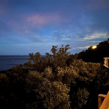 Villa L'Alpana En Bois Vue Mer A 180 Degres ساري سولينزارا المظهر الخارجي الصورة