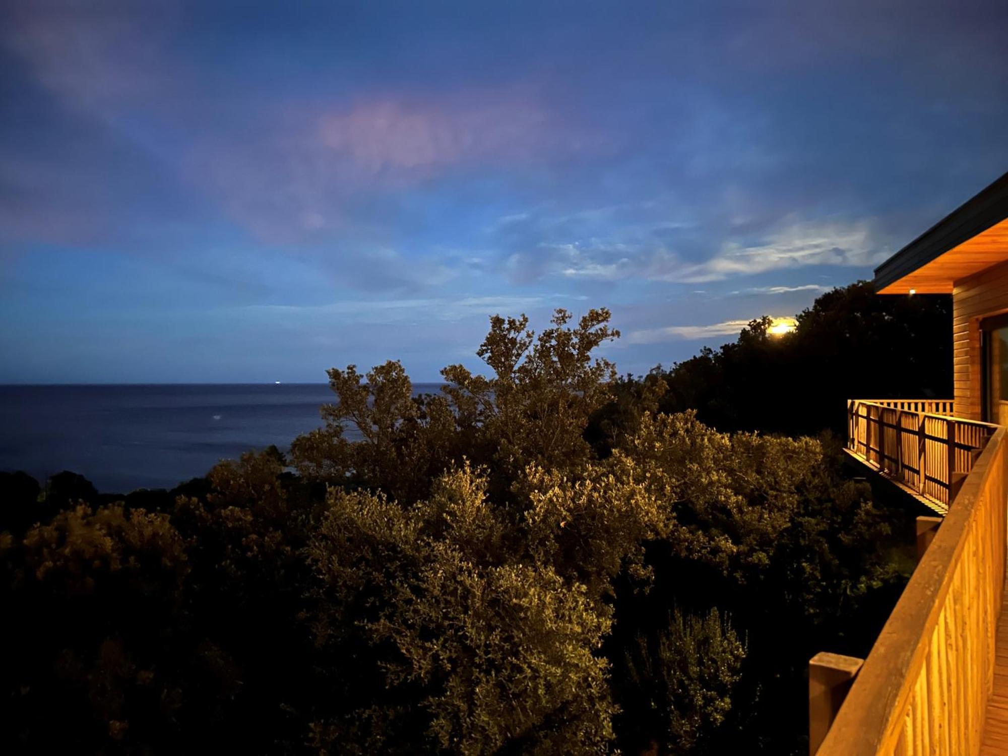 Villa L'Alpana En Bois Vue Mer A 180 Degres ساري سولينزارا المظهر الخارجي الصورة